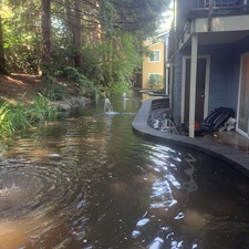 Spring-pressure-washing-for-Kirkland-springs-apartments 7